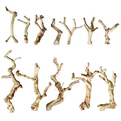 Reptiles Cave Trunk Terrariums Cave Natural Aesthetic Driftwood Climbing Decors Geckos Toy Accessories