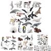 Arctic Animal Pvc Polar Bear Penguin Model Set With Realistic Wildlife Figures For Educational Display