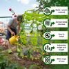Vegetable Plant Climbing Frame Raised Bed U Shape Vine Cucumber Support Stakes Tomatoes Grapes Growth Trellis Sturdy