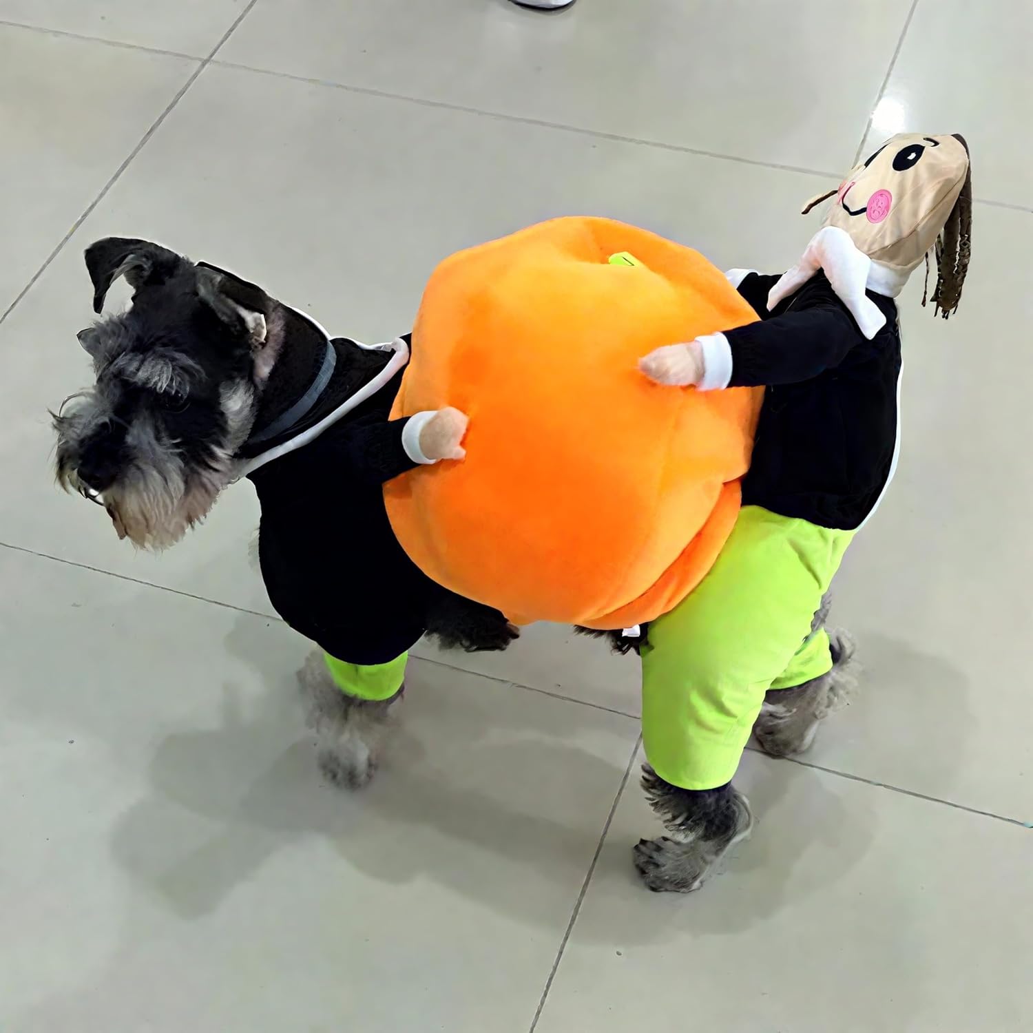 BlueSpace Pet Costume Dog Cat Pumpkin Pets Suit Halloween Costumes Pets Clothing for Small Dogs and Cats, Perfect for Halloween Christmas and Theme