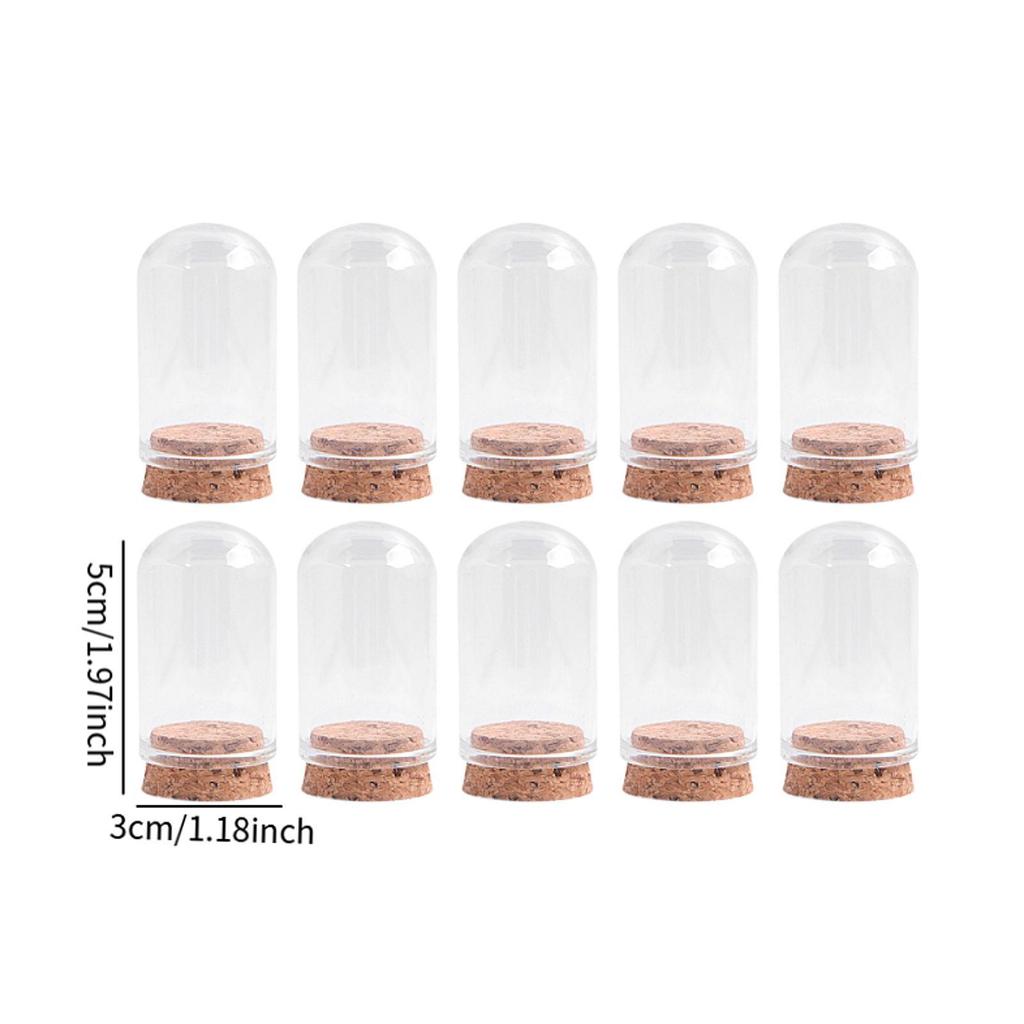 10x Glass Display Domes Cloche Bell Jars Versatile Decorative Jars for
