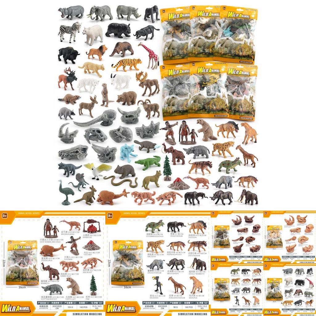 Detailed Plastic Primate Mammal Skull Replica Unique Educational Display For Collectors