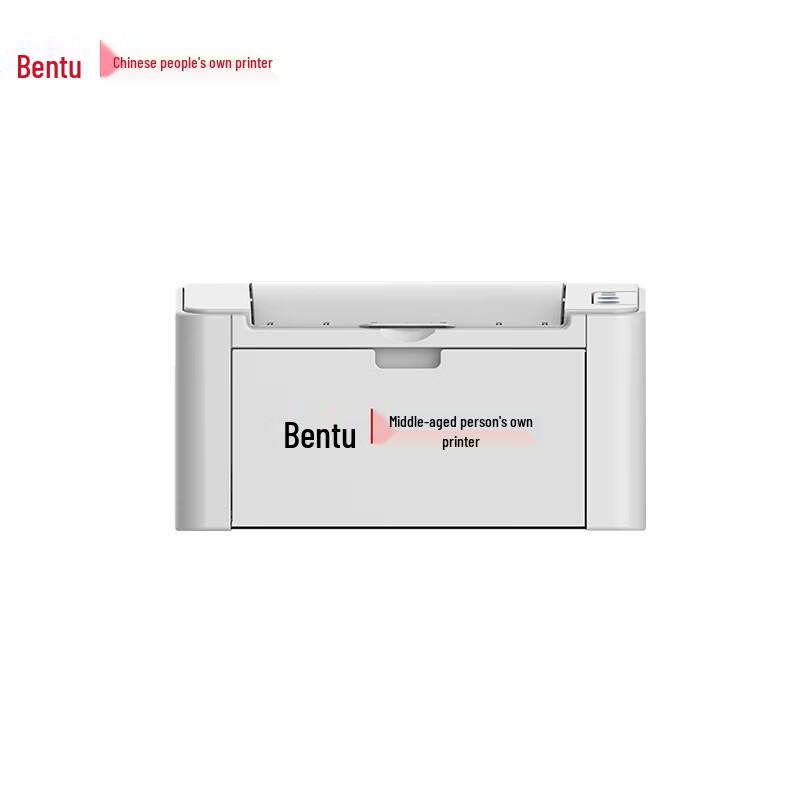 Pantum P2516 A4 Duplex Black & White Laser Printer CN plug (adapter included)