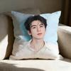 Zhanglinghe Actor Pillow Case Linen Pillow Covers Cover For Couch Living Room Bench Patio Floor Linen Home Decor