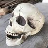 Creepy Plastic Open Mouth Skeleton Haunted House Decor Halloween Prop