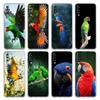 Phone Case For Samsung A26 A36 A56 A54 A52 A50 A70 A40 A20S A20E A12 A14 A16 A22 A24 A42 A34 A32 5G A04s A06 Cover Parrot Bird
