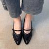 Vintage Frühling Dicke Ferse Damen Mary Jane Schuhe Flacher Schnallenriemen Schuhe Damen Elegant Spitze Zehen Tanzparty Pumps