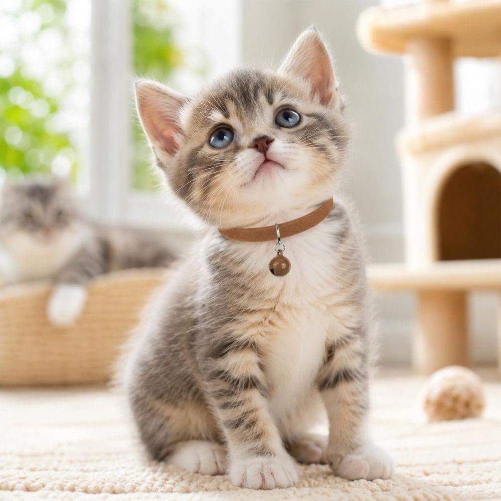 12pcs Bell-Equipped Kitten Collars Multicolor Pet ID Bands Portable Bell Collars  Pet Supplies