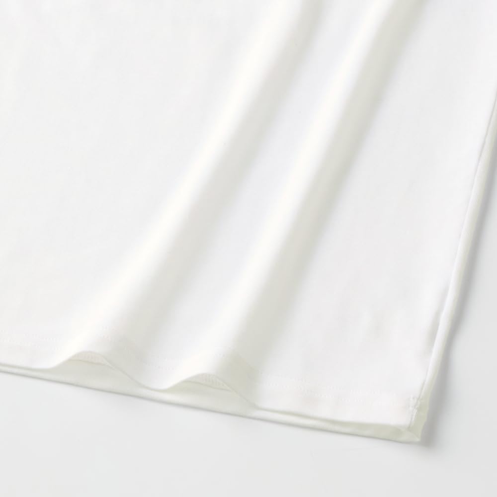 Gunze MCA608N Acedron Soft Stretch Crew Neck Long Sleeve Inner Striped Size M Men's Top, Fabric, White,