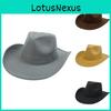 Classic Fedora Wool Felt Hat With Wide Brim For Summer Casual Style Characters Included)