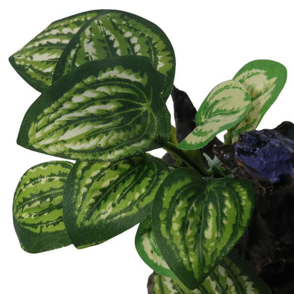 Resin Cave Decorations Plastic Hide Toy Aquarium Hideout House  Fish Tank