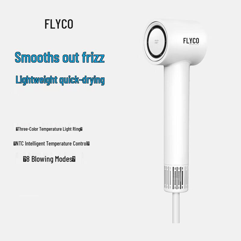 Flyco High-Speed Negative Ion Hair Dryer CN plug (adapter included)