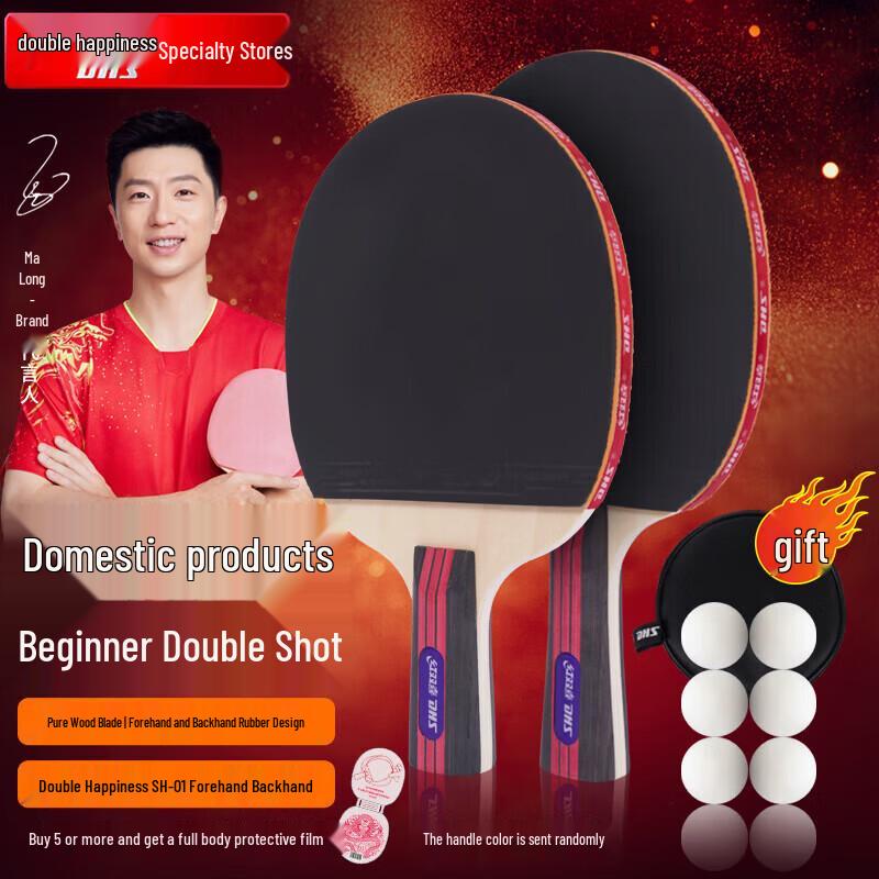 DHS SH Beginner Table Tennis Paddle Set