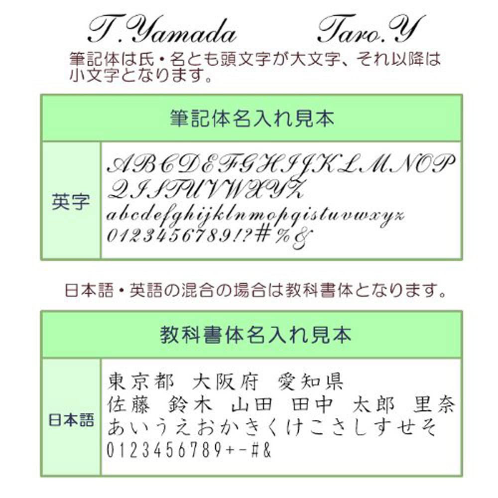 Perfect for a Graduation or New Personalized Refill Set Gift Waterman Metropolitan Essential Ballpoint Pen GT Job. [Genuine Box] (Black [Refill