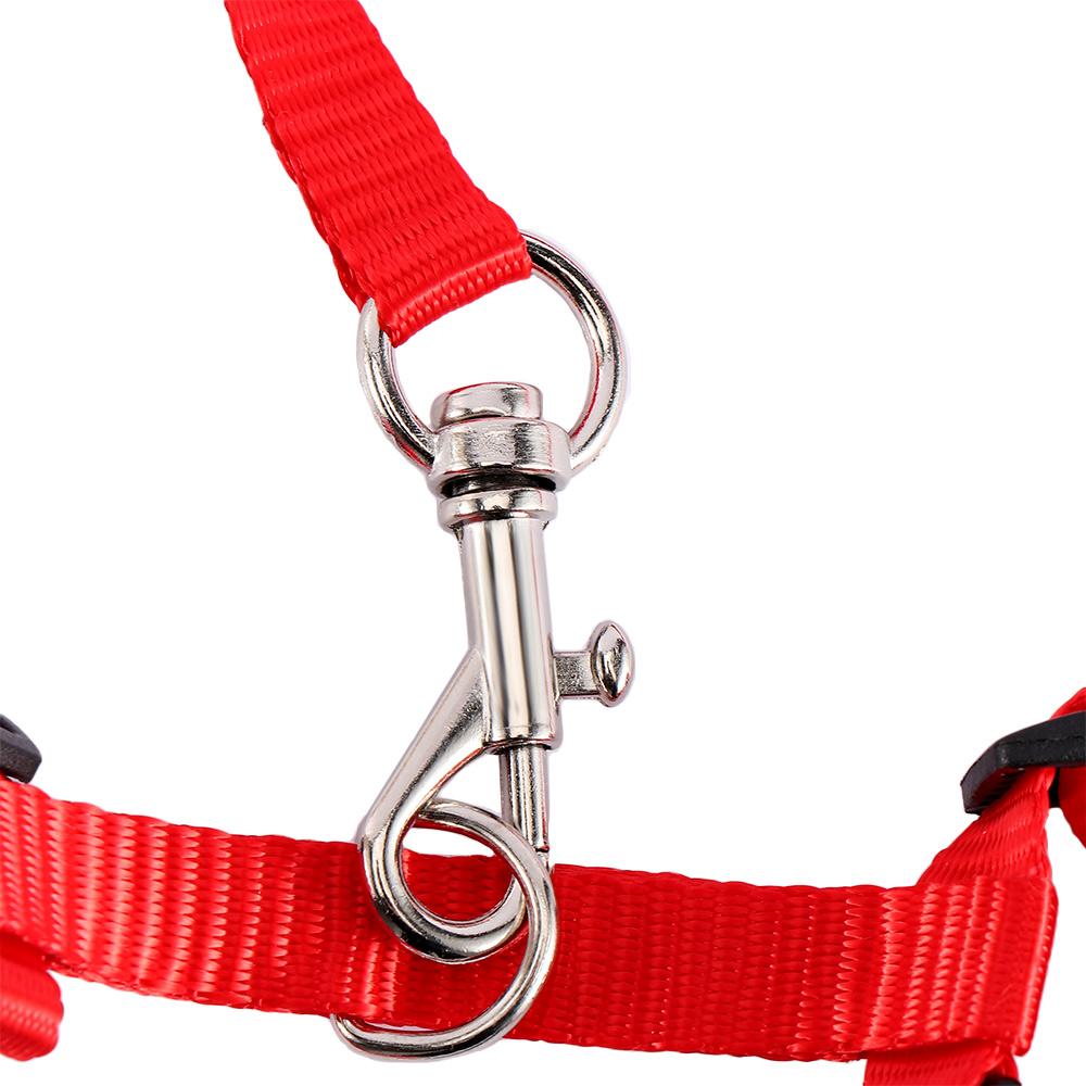 Pet Traction Training Cat Rope Cat Pet Rope Adjustable Cat Belt Nylon Harness Kitten Collar Rope