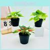 Artificial Small Plant Pot With Plastic And Silk Materials For Bedroom And Balcony