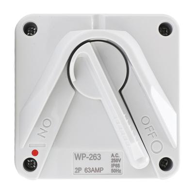 Enclosed Motor Disconnect Switch AC 63A 2P IP65 Water Proof Safety Isolation Switch for Generator