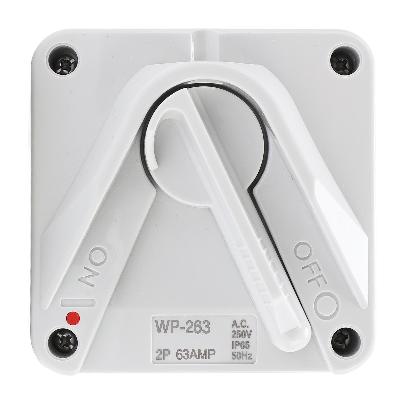 

Enclosed Motor Disconnect Switch AC 63A 2P IP65 Water Proof Safety Isolation Switch for Generator