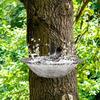 Outdoor Bird Bath Feeder Tray Durable Construction Easy To Clean Simple Installation Detachable Hummingbird Birdbath Bowl