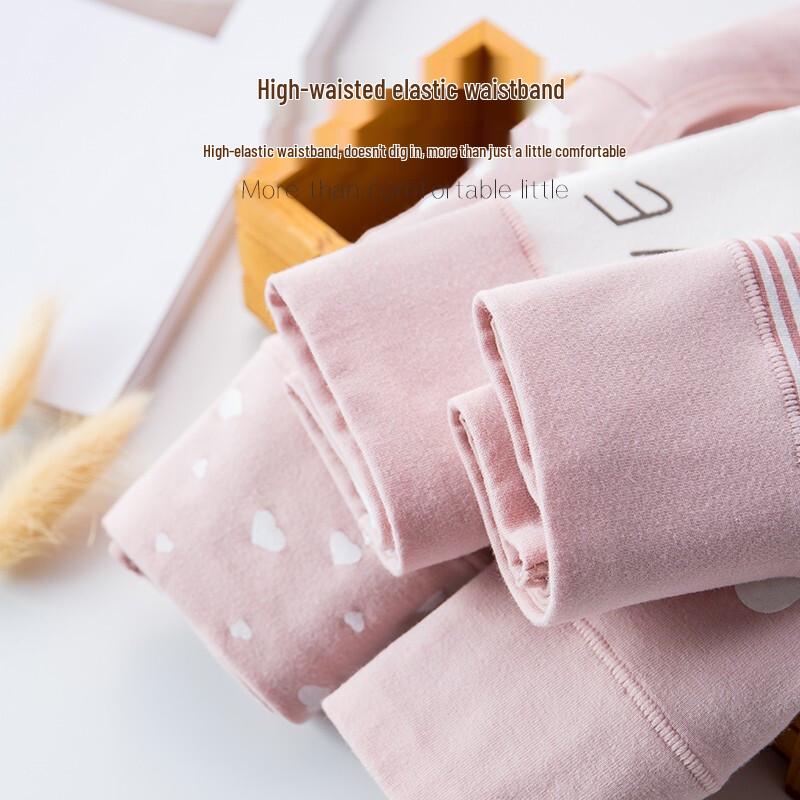 Langsha Women's Plus Size High-Waist Cotton Briefs 4-Pack