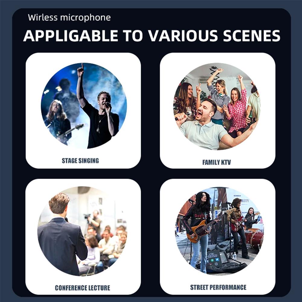 Wireless Microphone Dual Handheld Uhf Professional Karaoke For Videoke