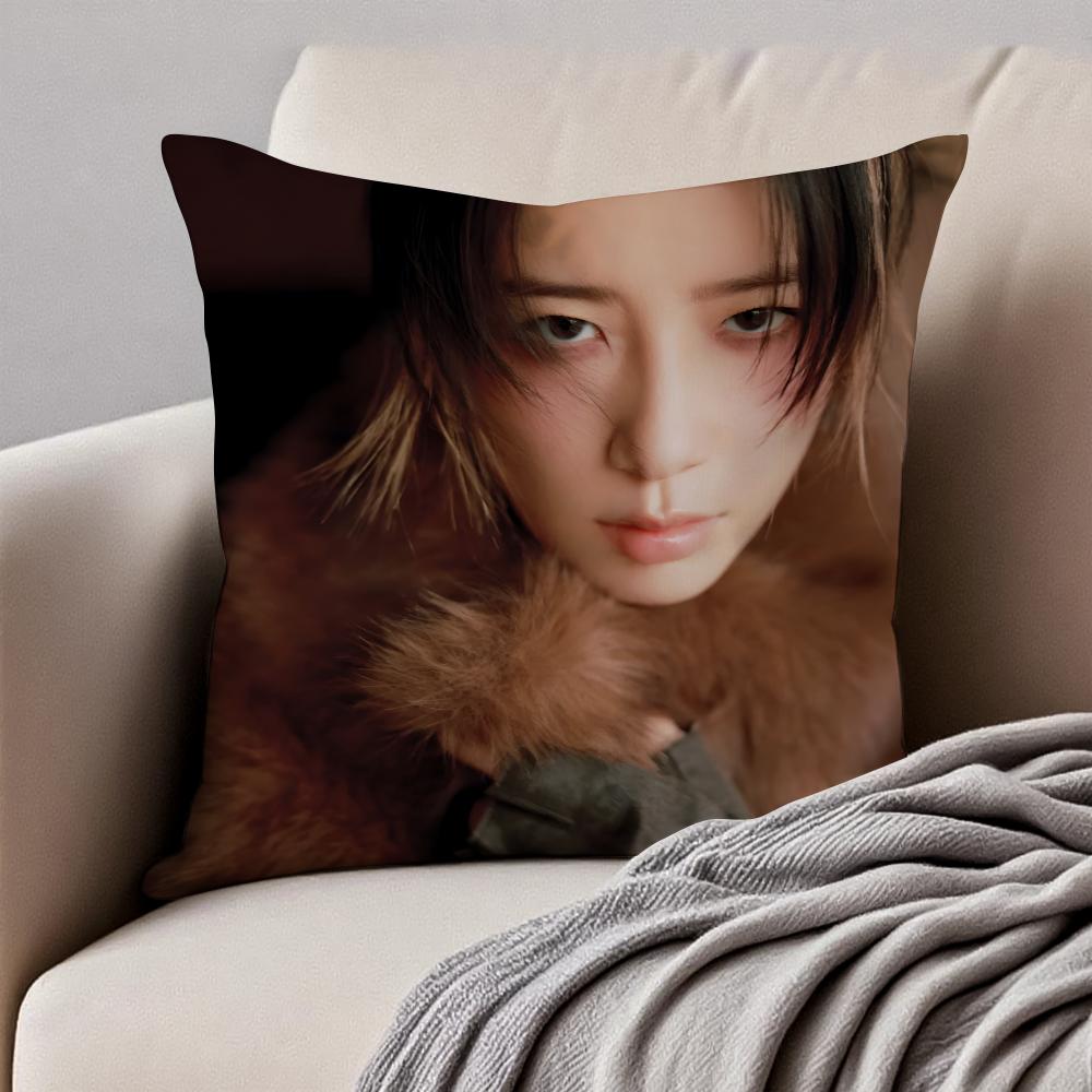 Popular fashionable Chinese singer DDanyLee Cushion Cover Pillowcase Antidustmite Invisible Zipper Short Plush Sofa Cushion