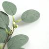 Artificial Water Money Leaf Vase Bonsai Faux Greenery Eucalyptus Branch Desktop Decor Floral Arrangement Bottle Realistic Home