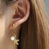 Women Summer Starfish Earrings Beach Jewelry Pearl Drop Shell Earrings Ocean Beachy Accessories Tropical Outfits Beach Jewelry