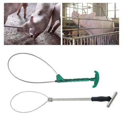 1 Stk. Schwein Baoding Set Stahl/Kunststoff Langer Griff Funktion Veterinärgerät Fixiert Re Z4I0