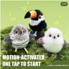 Chats – Jouets pour chats