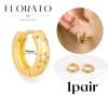Perforation 925 Silver Ear Needle Minimalist Hoop Earrings Metallic Gold Earrings For Women CZ Fashion Jewelry