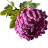 5pcs Artificial Chrysanthemum Flower Branch Faux Silk Pineapple Chrysanthemum with Long Stem for Wedding Floral Arrangement