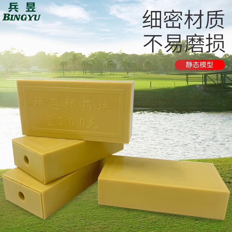 Bingyu Simulated Explosive Training Models