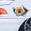 Cute Pom Car Stickers Scratch Blocking Self-Adhesive Waterproof Decal, Used for Car, Laptop, Motorcycle, Van, RV