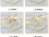 Cute A-class baby cotton antibacterial crotch mid waist women's underwear with cute little puppy