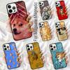 Huse pentru telefoane – Huse tip bumper pentru telefon