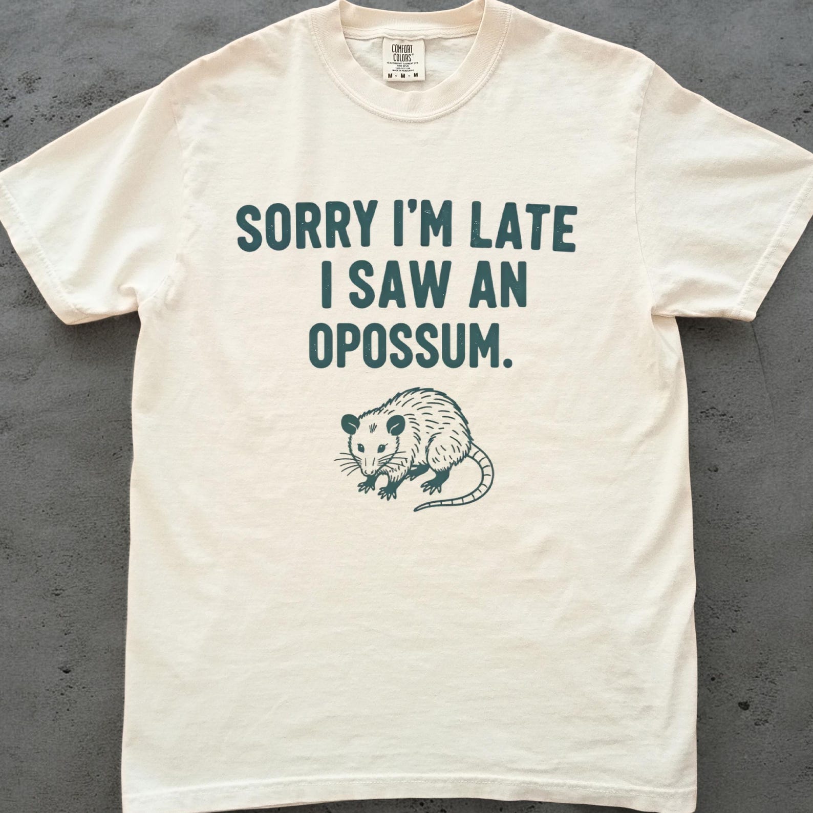 Opossum Shirt, Funny Possum Tee, Sorry Im Late I Saw an Opossum, Cute Trash Panda Shirt, Comfort Colors Wildlife Top, Animal Lover Gift XL