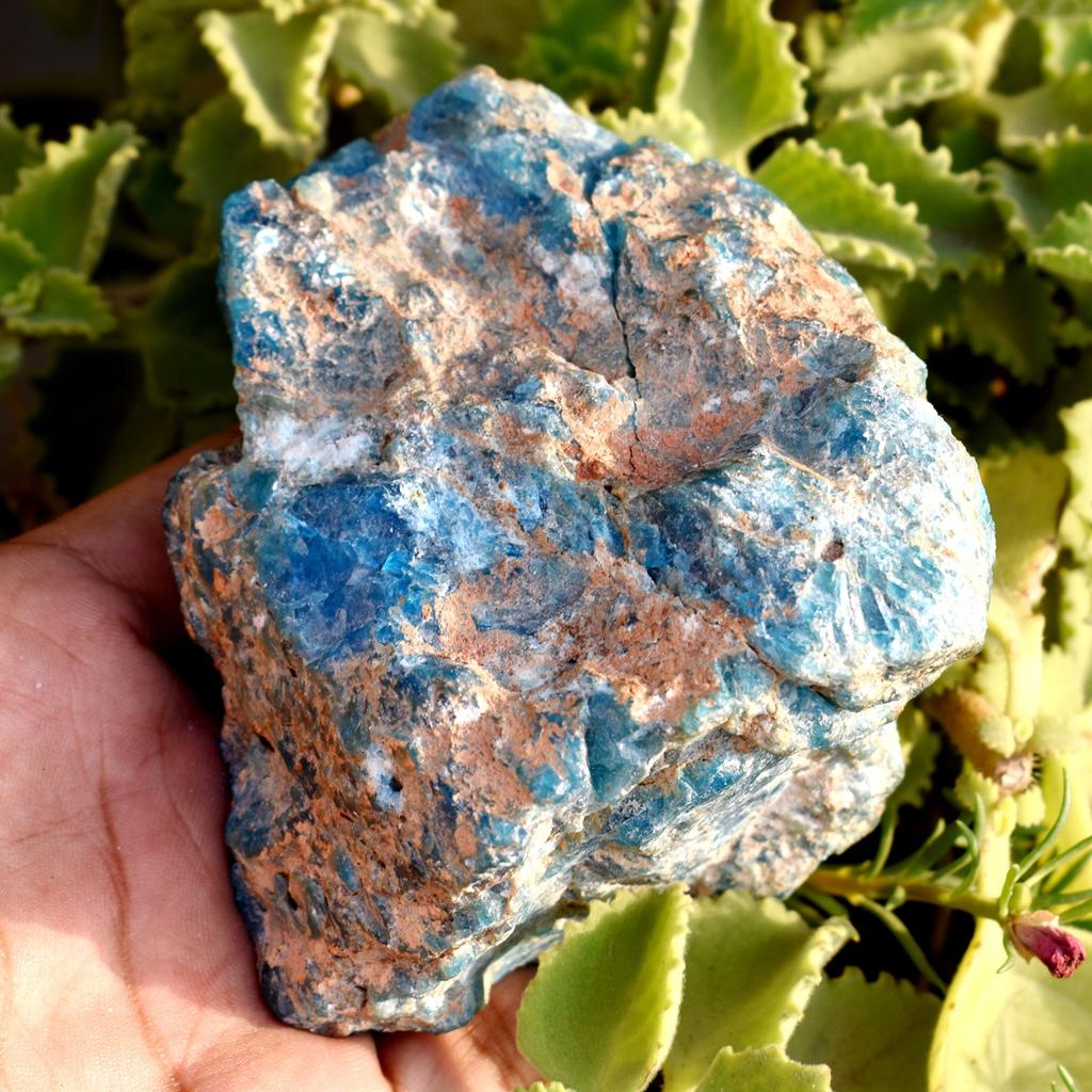 NATURAL Blue Apatite 490.95 Ct Uncut Raw Rough CERTIFIED Loose Gemstone For Gift