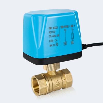 Durable 2-Way Electric Ball Valve Normal Close Two-Wire One-control Solenoid Valve DN50 DC12V-24V AC220V Motorized Ball Valve