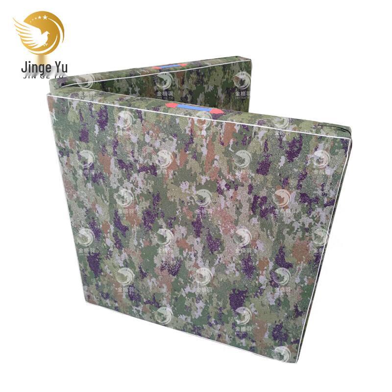 Jingeyu Folding Gymnastics Training Mat 2-fold 100x50x5cm
