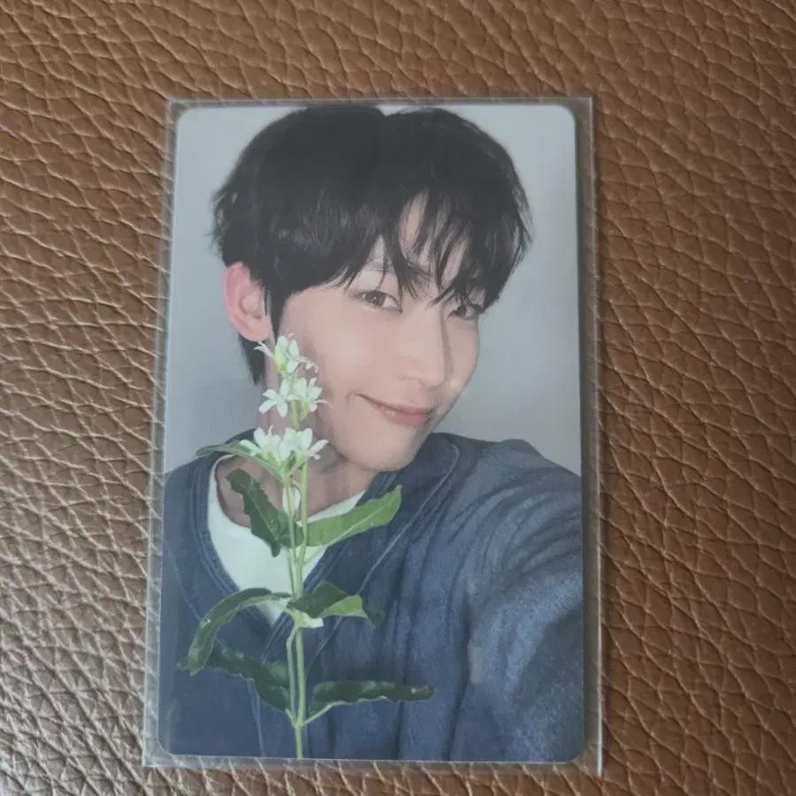 

Nhyfen Продает Yoi Weavers Бонус Foca Sunoo!