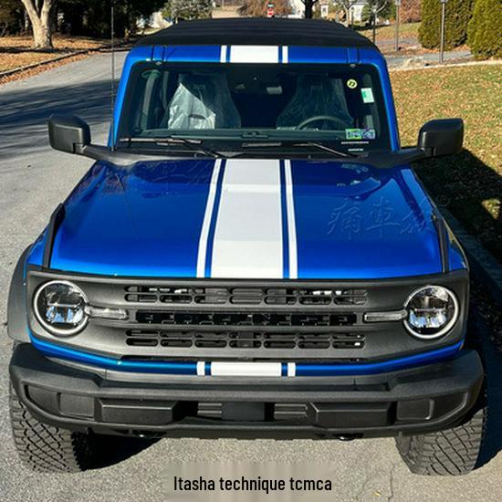 Bronco Wild Horse Car Hood & Pinstripe Stickers for Decoration & Modification