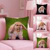 Nordic Style N-Nicolas Cage Rabbit Cushion Cover Plush Fabric Soft Double-Sided Printed Sofa Warm Winter Home Gift Pillow Cover