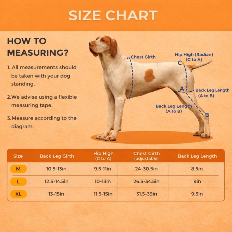 Ginocchiere Doppie per Cane per Legamento Crociato Rotto Zampe Posteriori Ginocchiere Doppie Antiscivolo per Zampe Posteriori con Pettorina Comfort