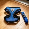 Pet Chest Back Small Dog Leash Summer Breathable Puppy Walking Chest Back Set Cat Outdoor Traction Rope Collar For Dogs Supplies