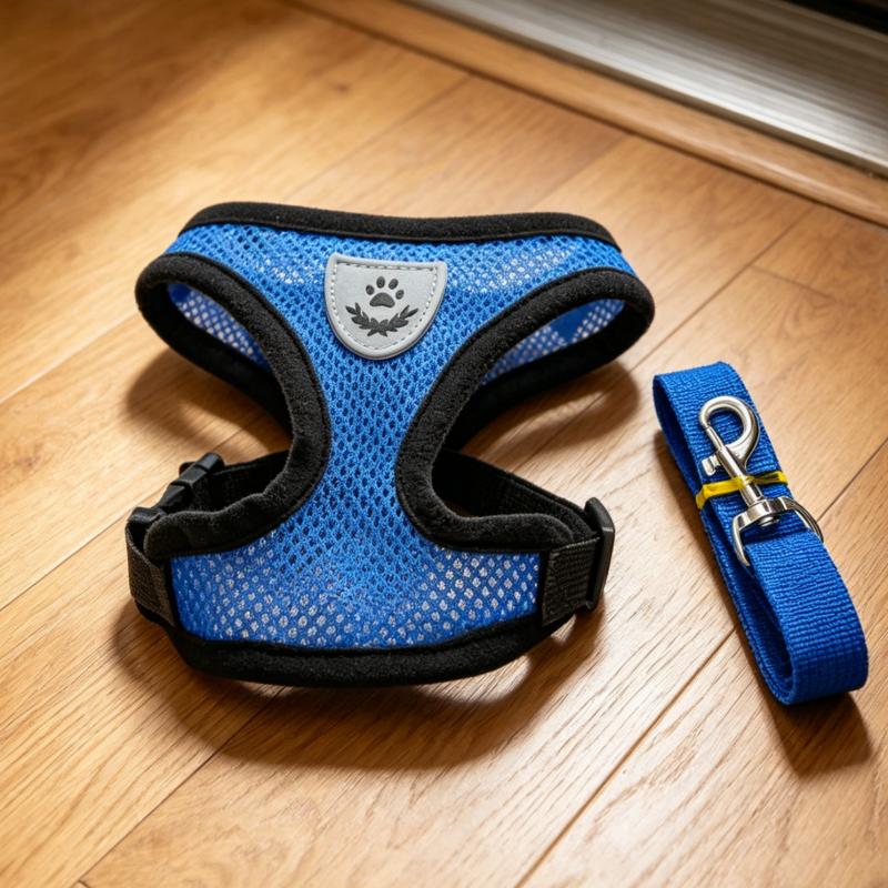 Pet Chest Back Small Dog Leash Summer Breathable Puppy Walking Chest Back Set Cat Outdoor Traction Rope Collar For Dogs Supplies
