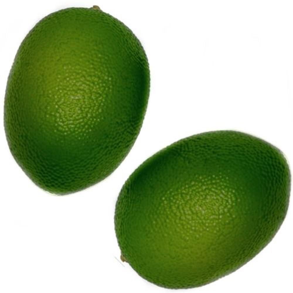Artificial Faux Limes Lemons 10 Piece Foam Simulation Fruit for Home Decor