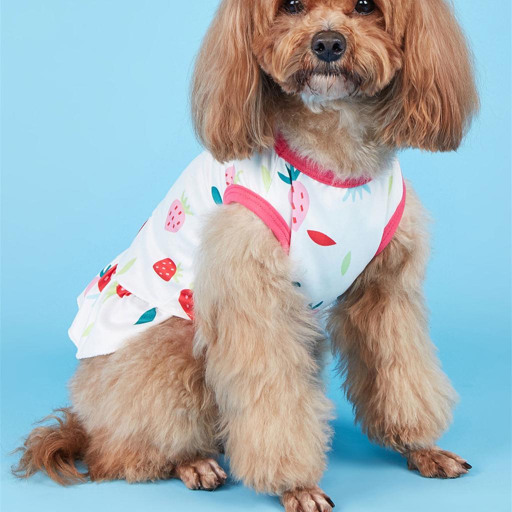 Cute Print Skirt for Small Dogs Sweet Cats Dogs Dress Summer Spring Small Dogs Traction Rings Comfortable Dogs Skirt