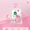 Dettol Healthy Antibacterial Hand Wash