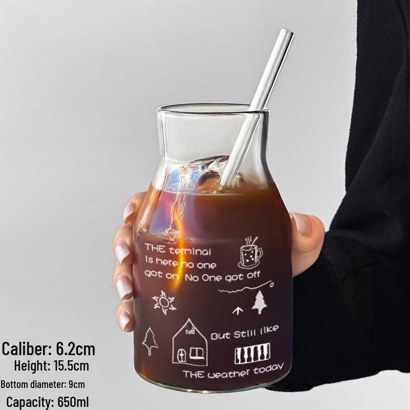 

Zhaoran Ins-Style Glass Drinking Cup